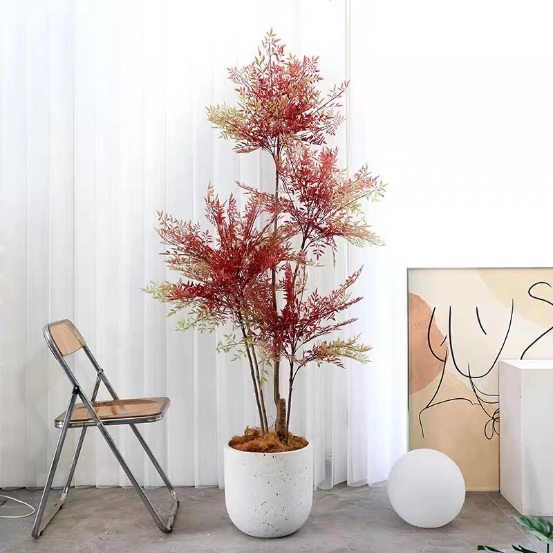 一物一拍造型火焰南天盆栽地栽土培水培室内庭院办公室老庄好养