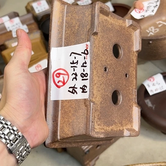 红陶20CM（含）-50CM（不含）小*哥