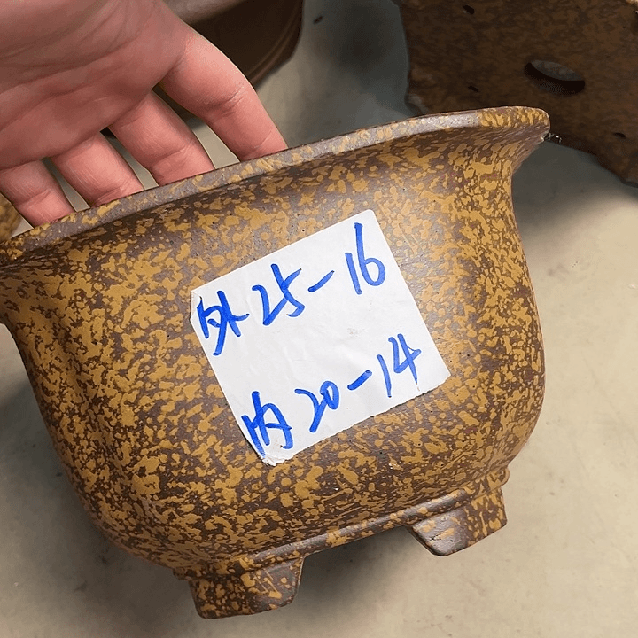 红陶20CM（含）-50CM（不含）