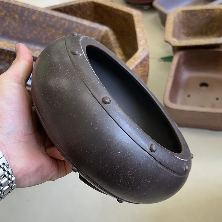 红陶20CM(含)-50CM(不含)