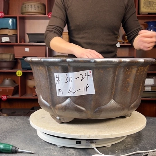 红陶20CM（含）-50CM（不含）野*