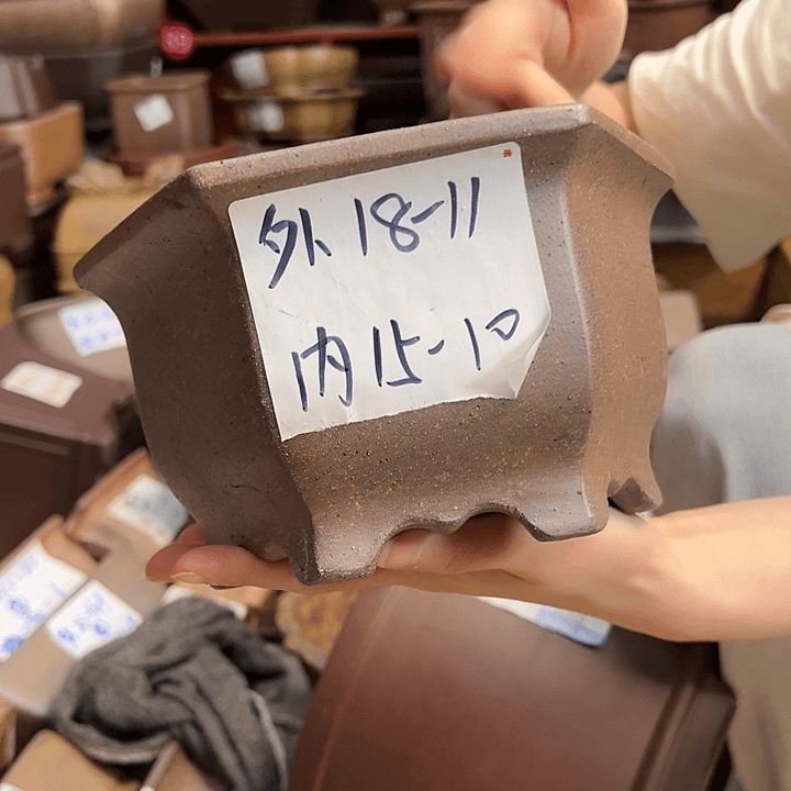 红陶20CM（含）-50CM（不含）