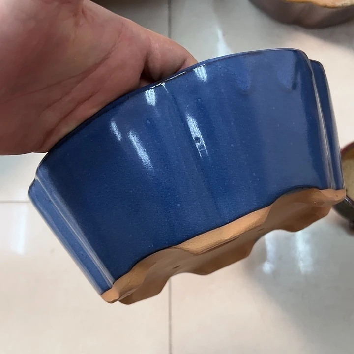 红陶20CM（含）-50CM（不含）以****景