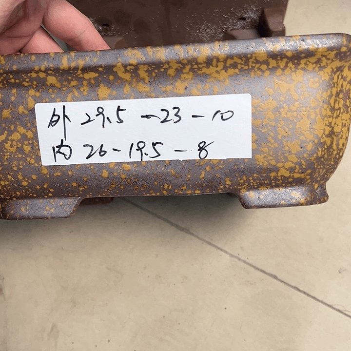 红陶20CM（含）-50CM（不含）