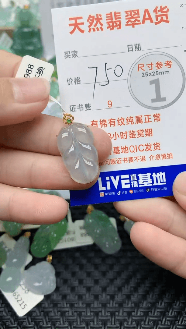 【闪购商品】翡翠颈饰未镶嵌10