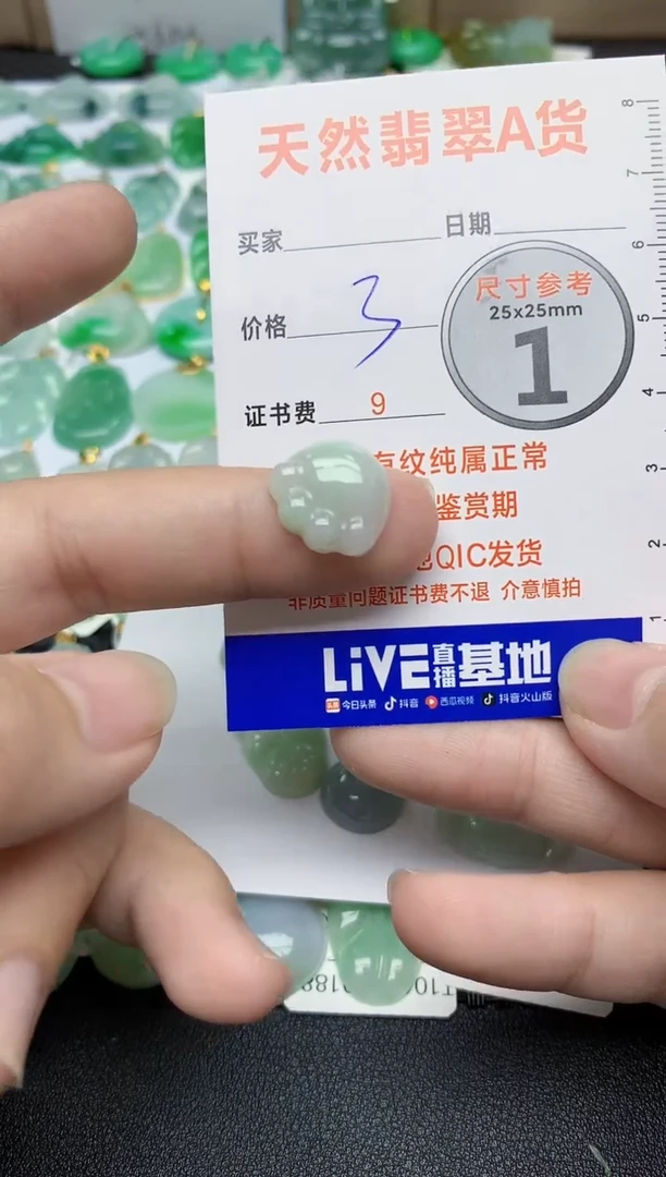 【闪购商品】翡翠颈饰未镶嵌1