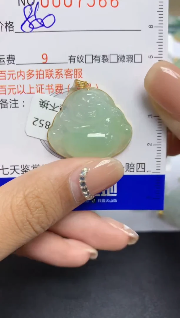 【闪购商品】翡翠颈饰18K金镶嵌   天然A货翡翠