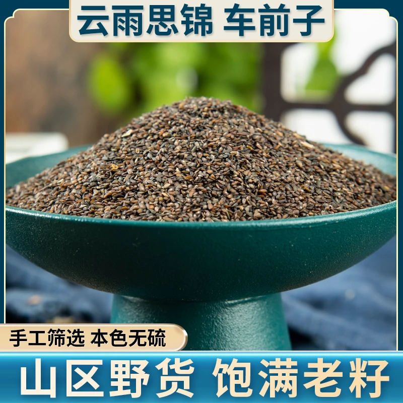 车前子 净重量250克 精选无杂无硫道地产区泡水滋补养生新货手工
