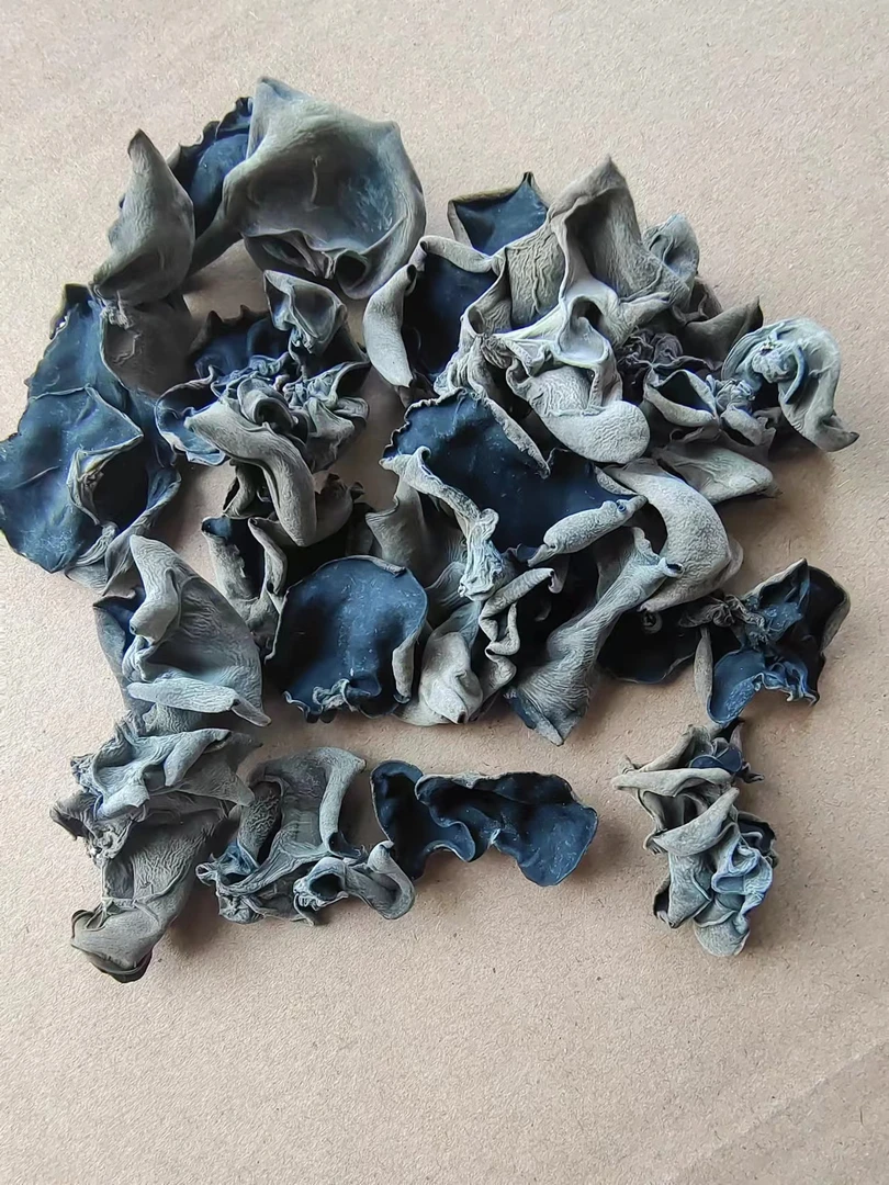 《源锄禾》东北特产黑木耳2024头茬500g
