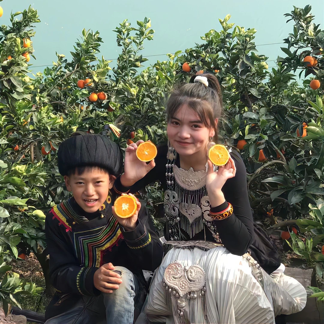 四川大凉山雷波脐橙新鲜采摘香甜多汁应季水果