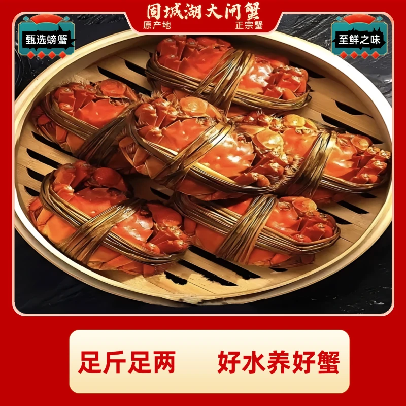 固城湖螃蟹【活蟹】2.5两母蟹6只 +3两公蟹6只大闸蟹固城湖