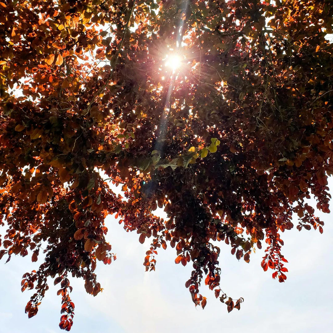 婴悦家冬季男女宝995200小酷宝背心开胸哈衣婴童时尚连体衣1800克