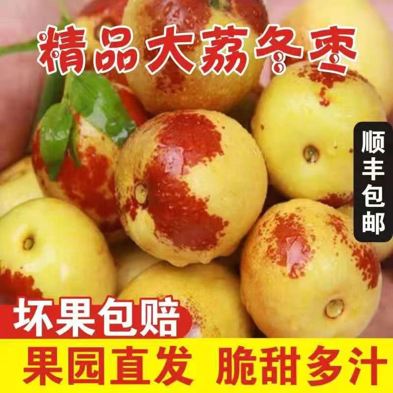 大荔冬枣【顺丰发货】陕西渭南大荔冬枣新鲜脆甜水果当季大枣子