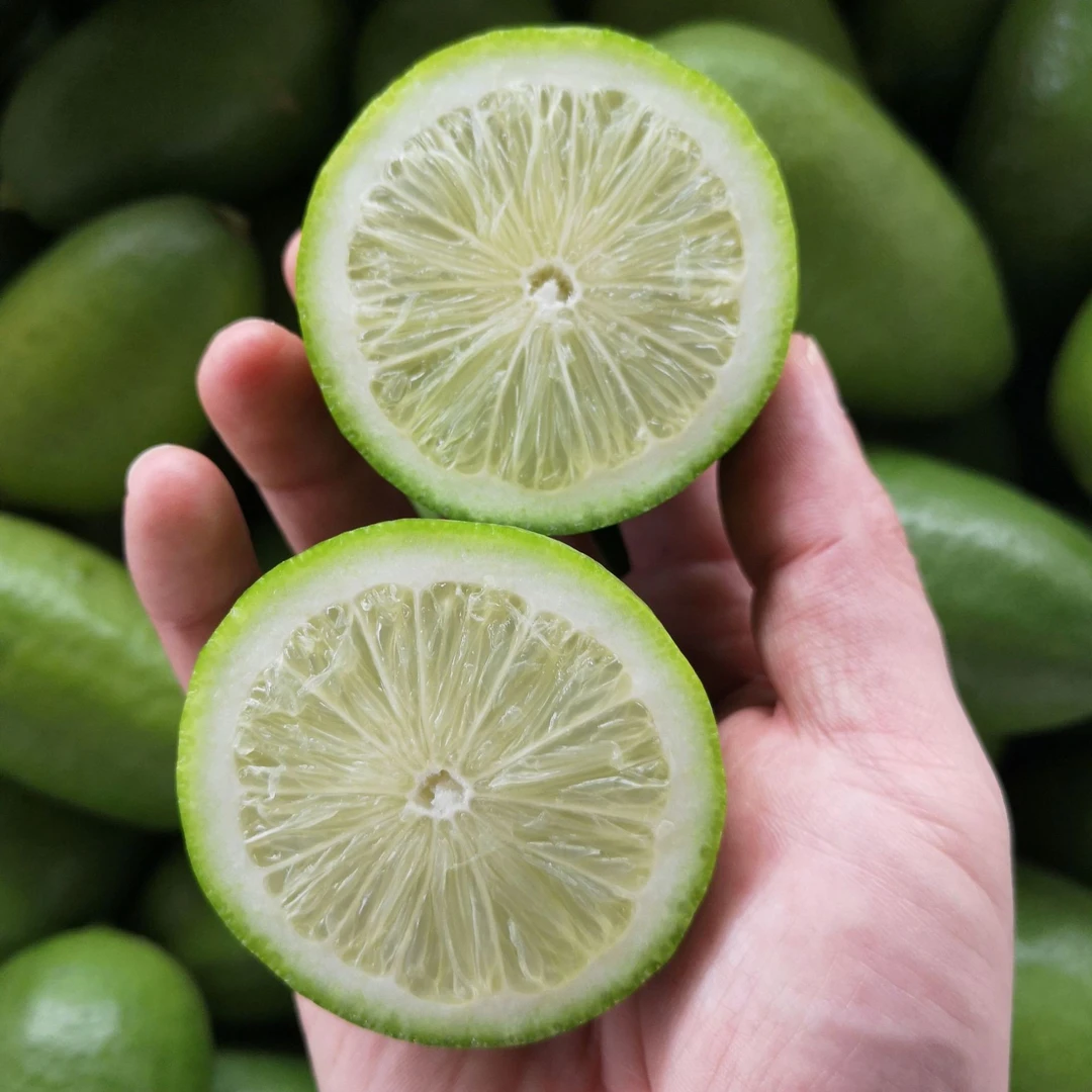 海南香水柠檬新鲜无籽子弹头柠檬水果奶茶店用柠檬现摘整箱包邮