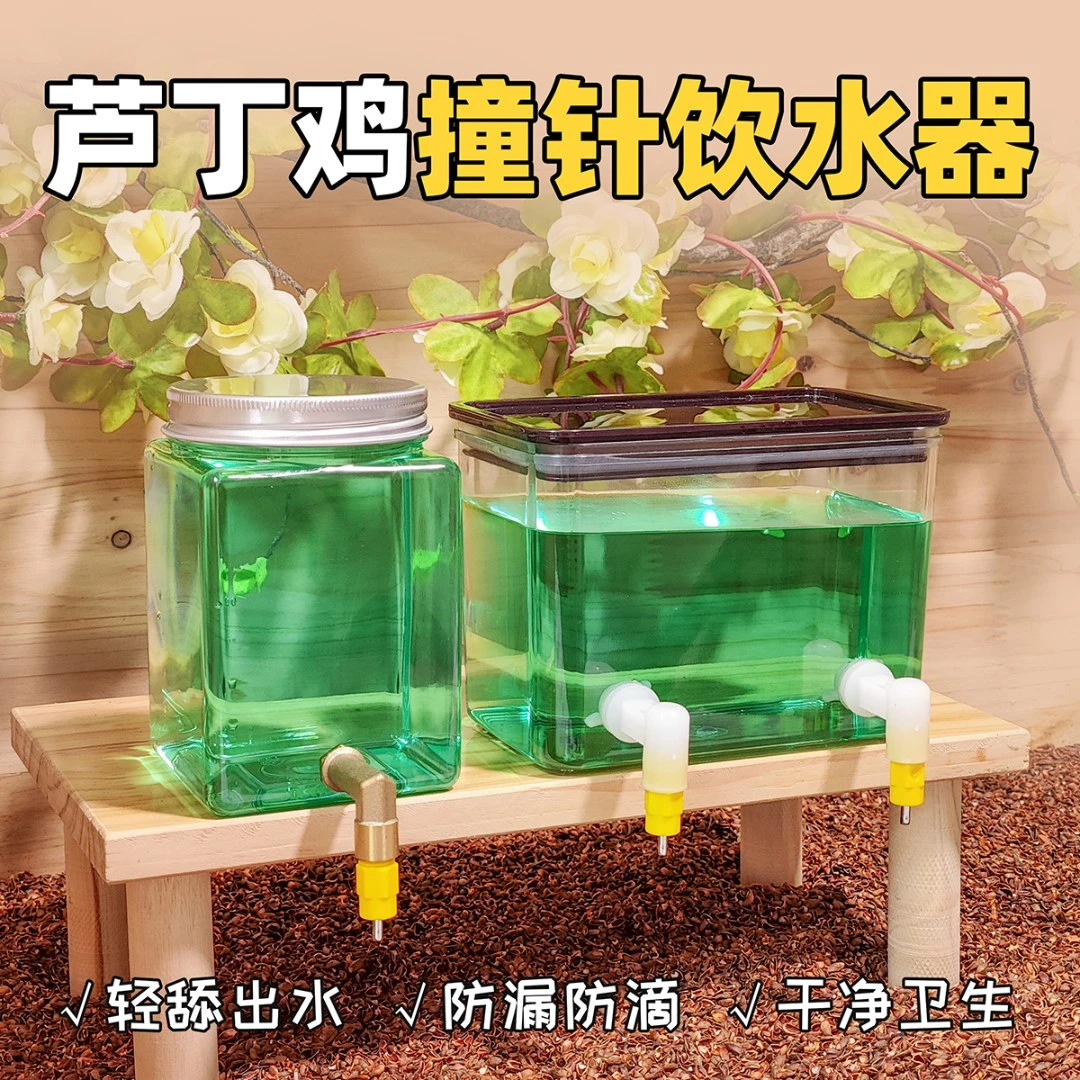 芦丁鸡撞针饮水器鸟鹦鹉用水杯壶自动喂水超大容量干净挂架防污