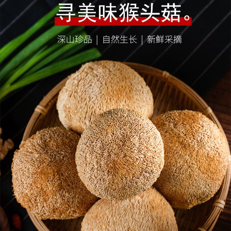 【猴头菇】新鲜干品 无硫 菌菇 炒菜 煲汤 凉拌食材1