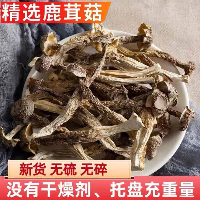 【鹿茸菇】脆脆菇新鲜无硫 菌菇 炒菜煲汤食材营养