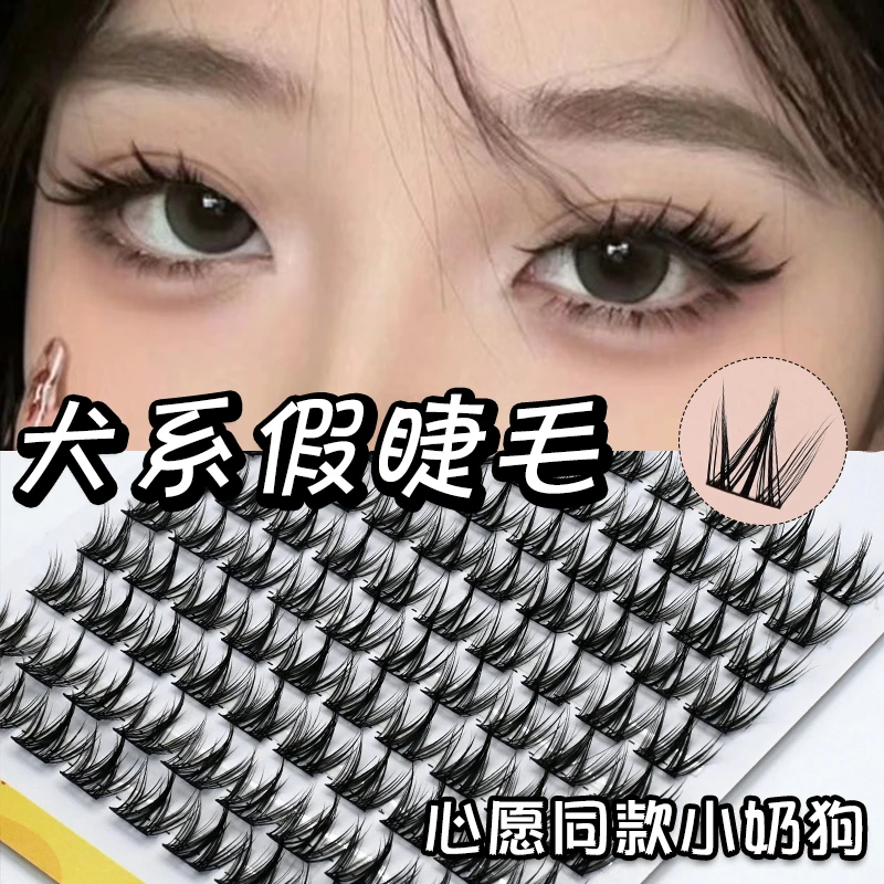 【提提子专属】犬系假睫毛动物系狗狗眼假睫毛分段式单超自然假睫毛
