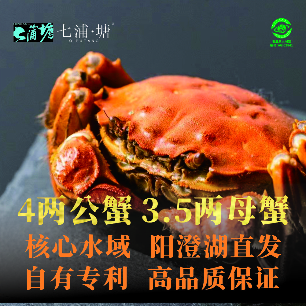 【活蟹】七浦塘阳澄湖大闸蟹塘养4两公蟹3.5两母蟹2对4只现捕现发
