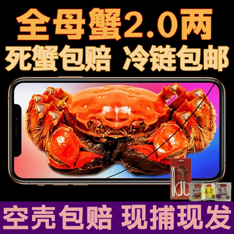 现货【活蟹】大闸蟹鲜活螃蟹全母蟹2.0两6只/8只/10只礼盒工具河蟹