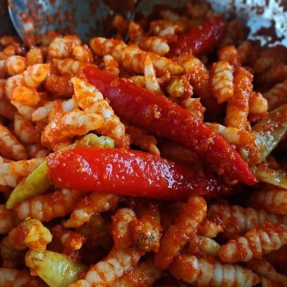 云南扎西特产香辣开胃下饭菜酸辣味泡椒地笋子500g