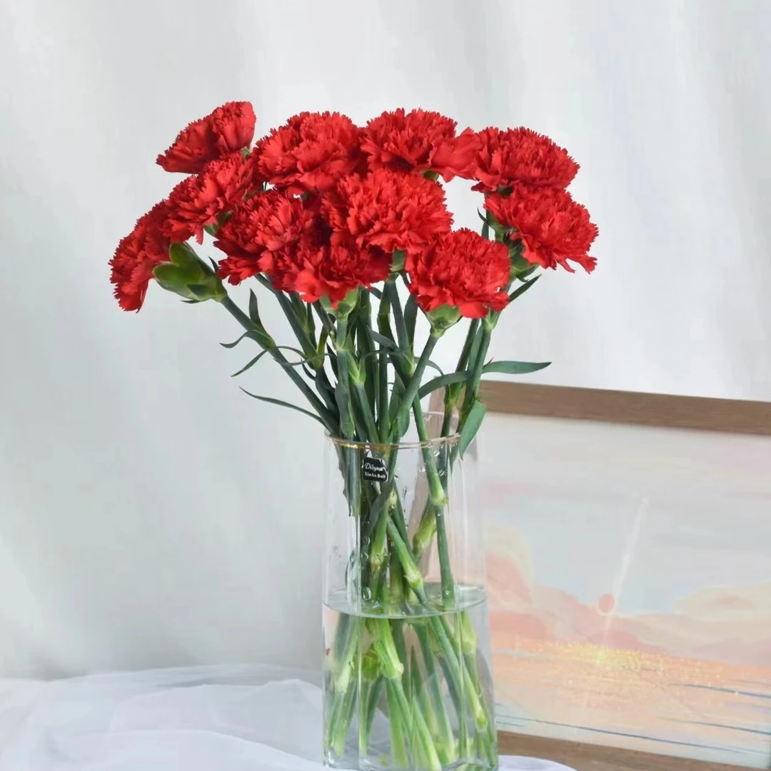 【同城外卖配送】10枝红色康乃馨-生活鲜花家居花瓶插花