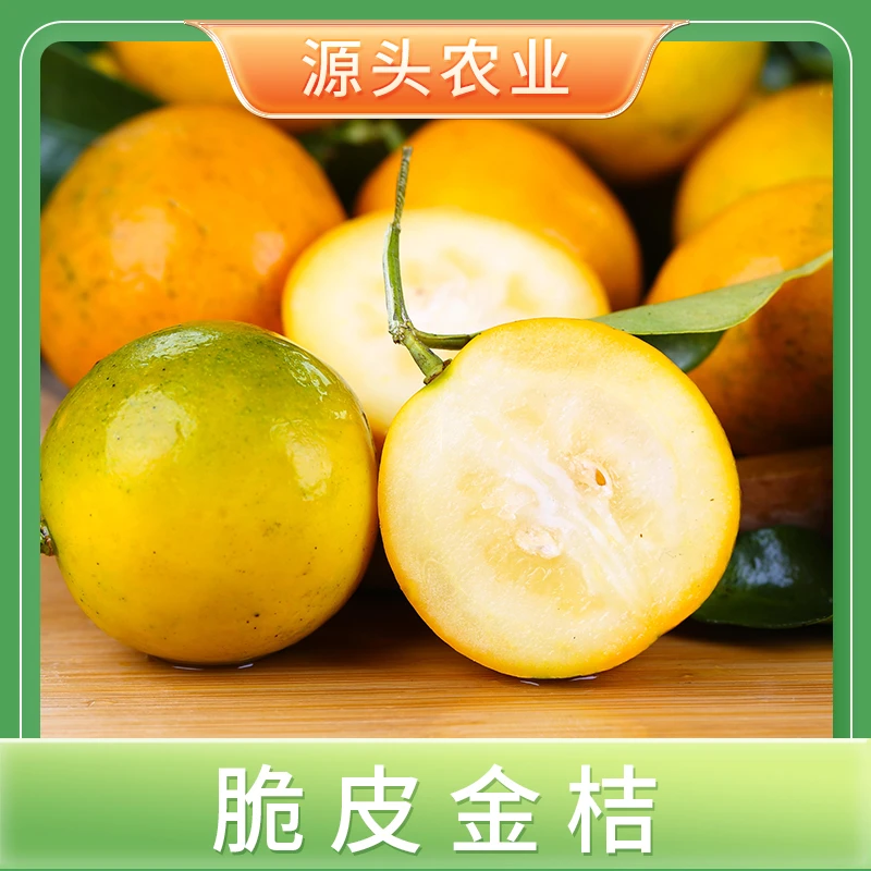 【融安金桔】广西融安脆皮金桔小桔子新鲜1/2/3斤装S