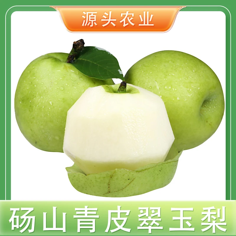 【砀山翠玉梨】正宗砀山青皮梨应季水果新鲜酥脆多汁4.5斤X