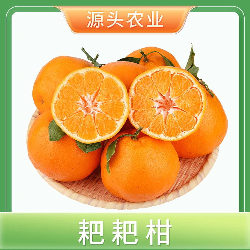 【耙耙柑】四川眉山耙耙柑当季新鲜采摘水果鲜嫩多汁4.5斤 J