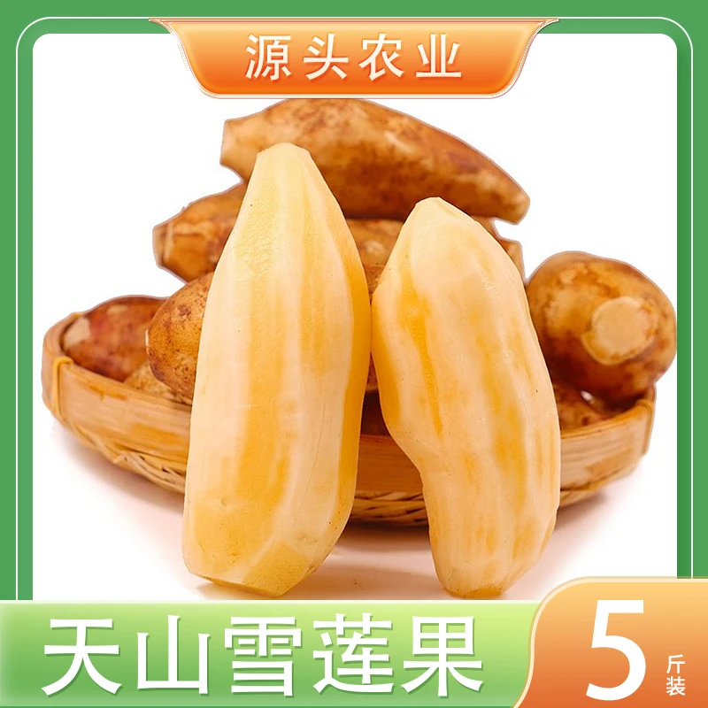 【雪莲果】云南天山雪莲果皮薄清甜多汁5斤装中果 包邮S