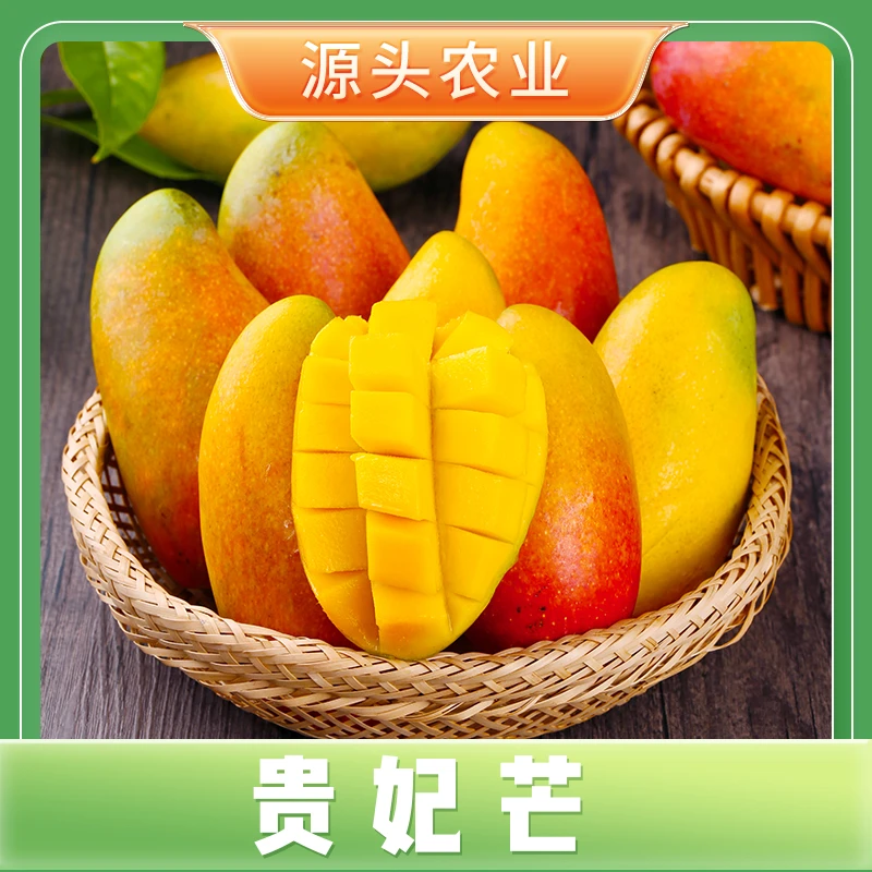 【贵妃芒】海南芒果新鲜当季水果鲜甜农产品包邮4.5斤 Y