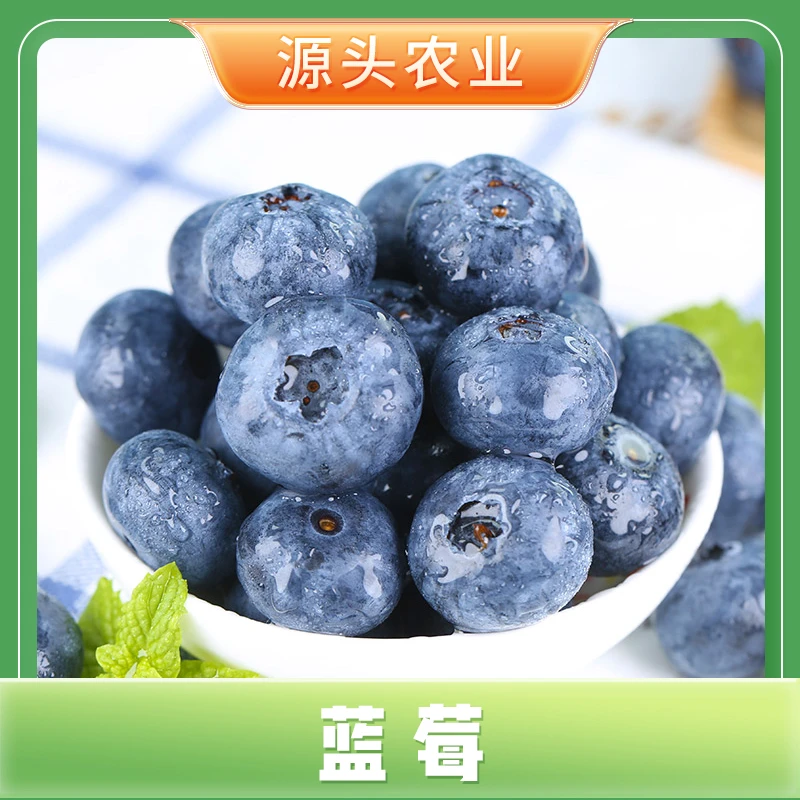 【蓝莓】辽宁丹东蓝莓皮薄肉厚果香浓郁 4盒100g/盒 顺丰包邮S