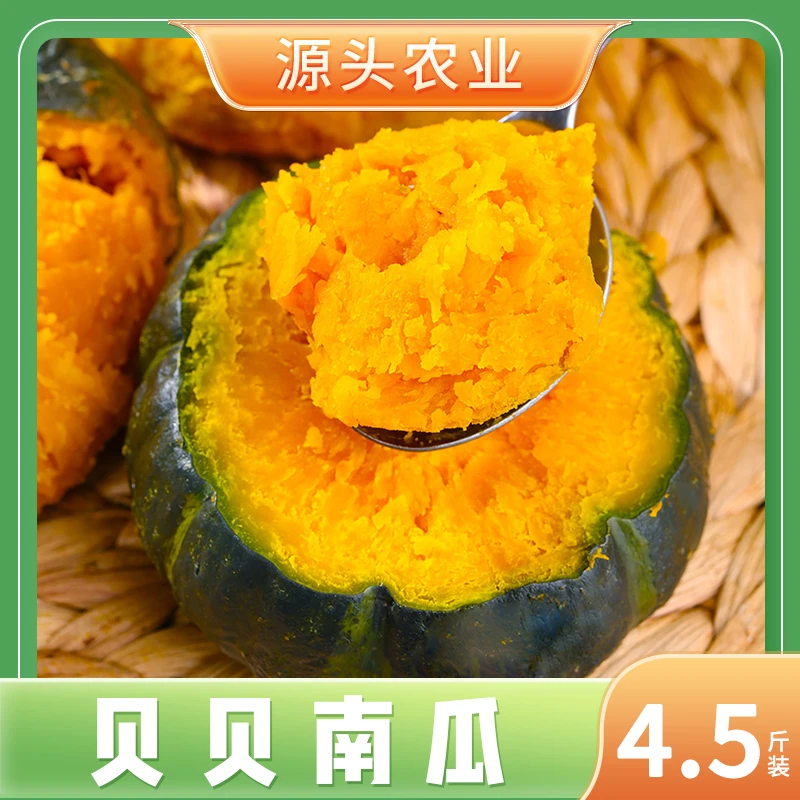 【不粉包赔】正宗真贝贝南瓜粉糯香甜板栗味宝宝辅食小南瓜4.5斤