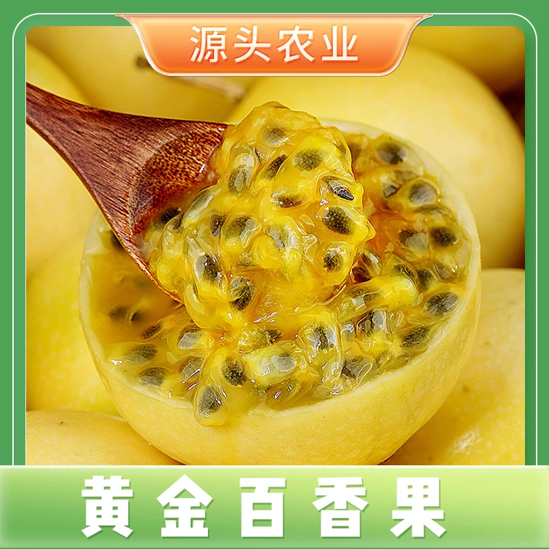 【黄金百香果】钦蜜9号新鲜饱满时令水果果味浓郁12个装S