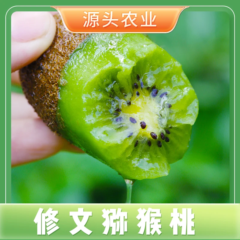 【催熟食用】 贵州修文猕猴桃 坏果包赔50-70g24枚彩箱+双层泡沫S