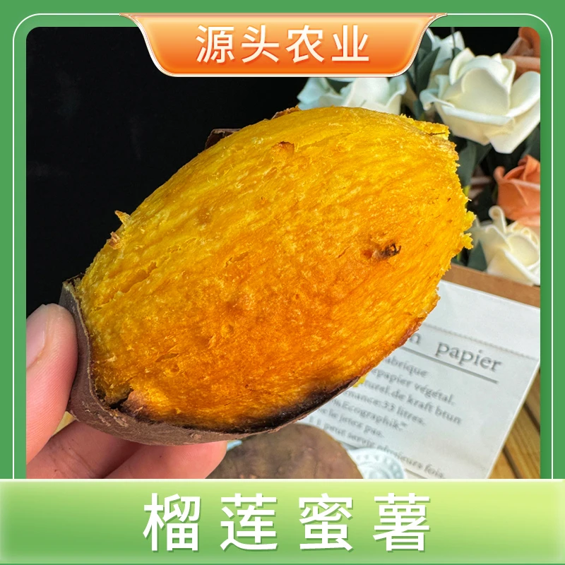 【榴莲蜜薯】正宗黄心板栗无筋红薯香甜软糯香薯4.5斤 S