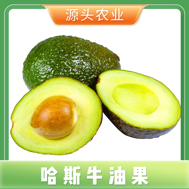 【哈斯牛油果】云南当季新鲜水果鳄梨6枚装 S