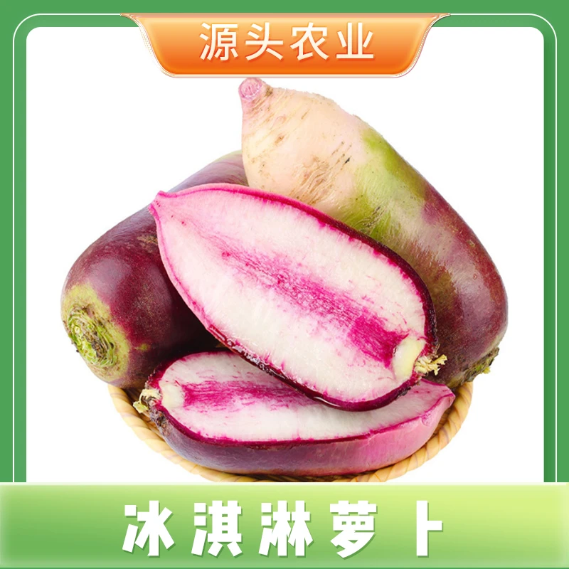 【冰激凌萝卜】山东潍坊冰糖心水果萝卜脆甜爽口5斤装 X