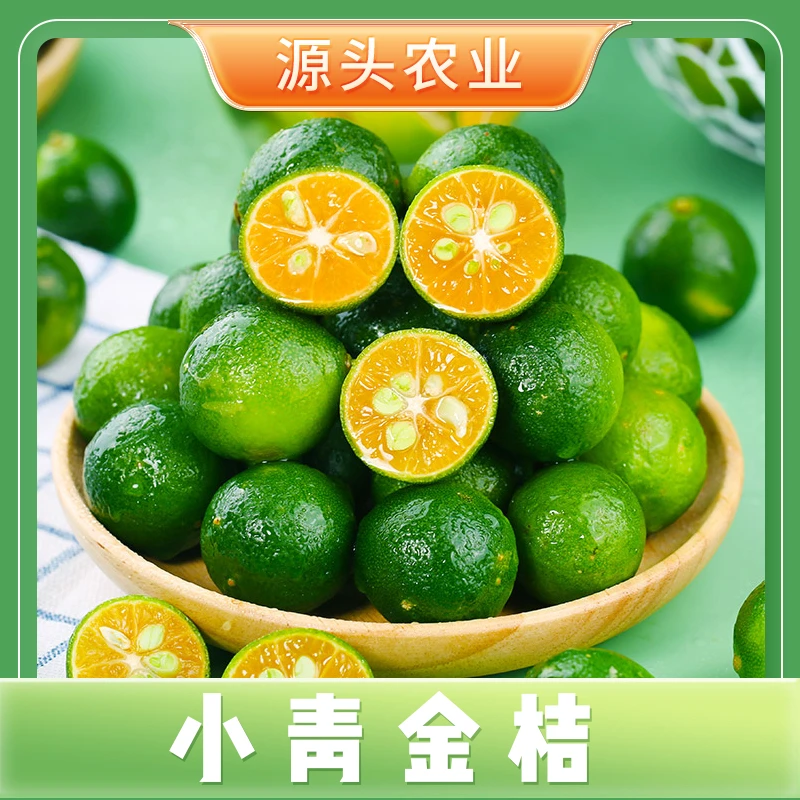 【小青金桔】海南小青金桔新鲜当季水果皮薄酸甜多汁 1斤装 G