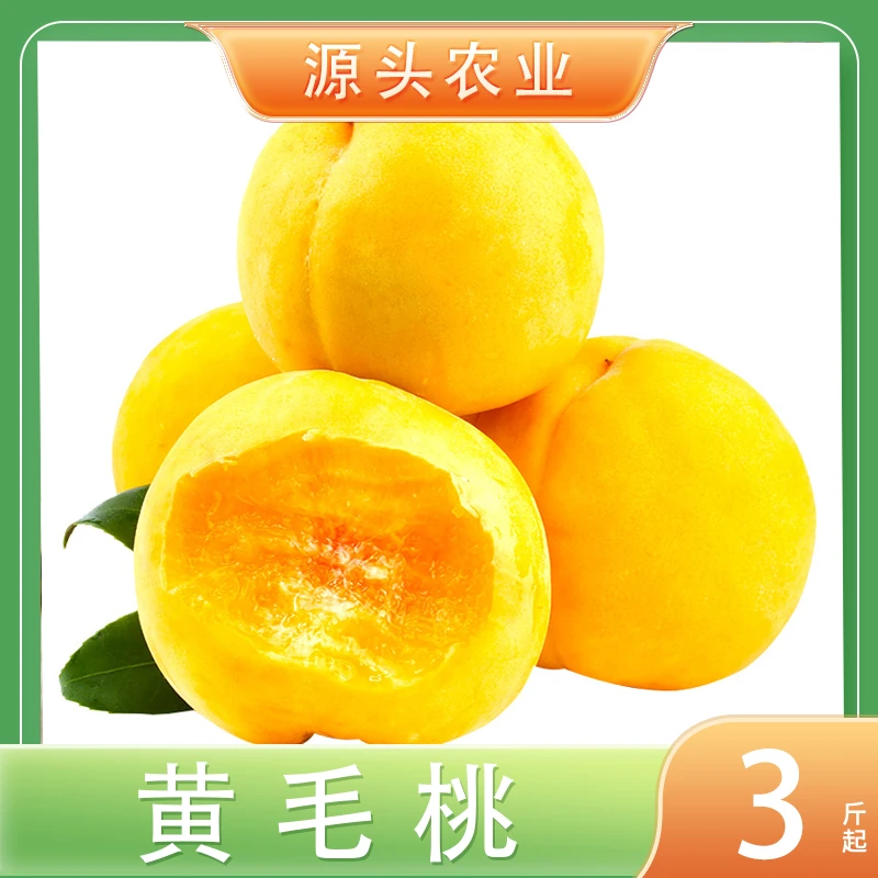 【夏日尝鲜】山东黄毛桃新鲜水果桃子 3/4.5斤 J