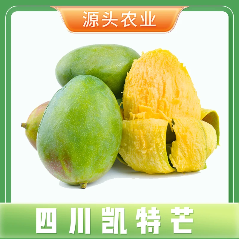 【凯特芒】正宗四川攀枝花芒果大青芒新鲜当季水果产地直发3斤装 S