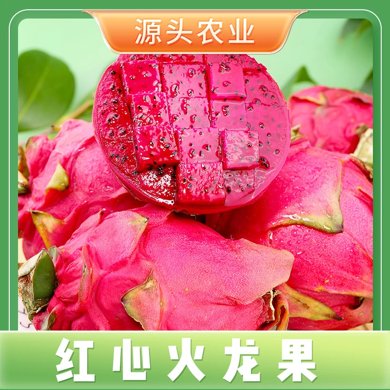 【红心火龙果】广西金都一号红心火龙果细腻香甜皮薄应季4.5斤装 S