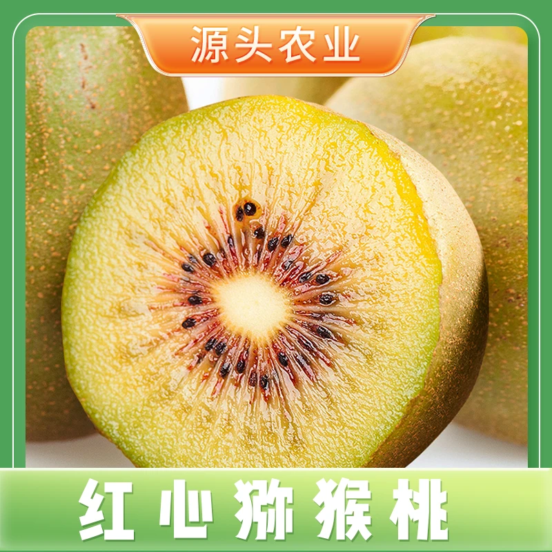 【红心猕猴桃】 新鲜水果红心猕猴桃奇异果10个/12个装 XW