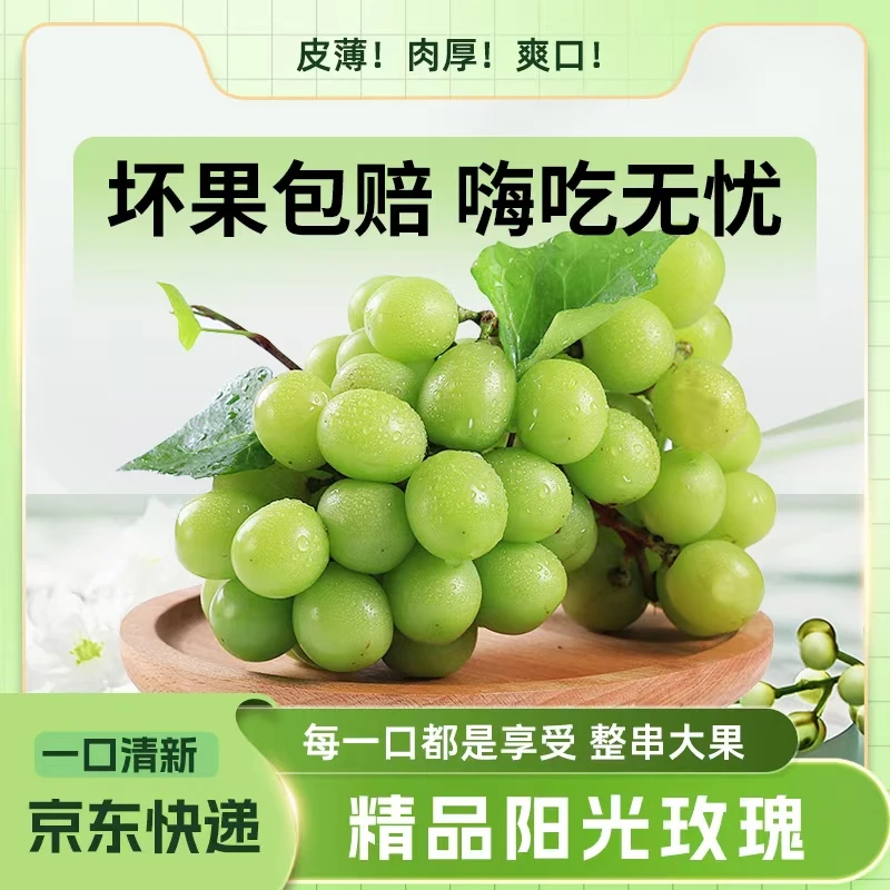 正宗种植阳光肉厚葡萄礼盒当季新鲜水果无籽提子青提皮薄多汁无核