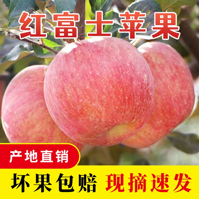 【2024头茬】正宗山西运城红富士苹果新鲜水果脆甜多汁整箱