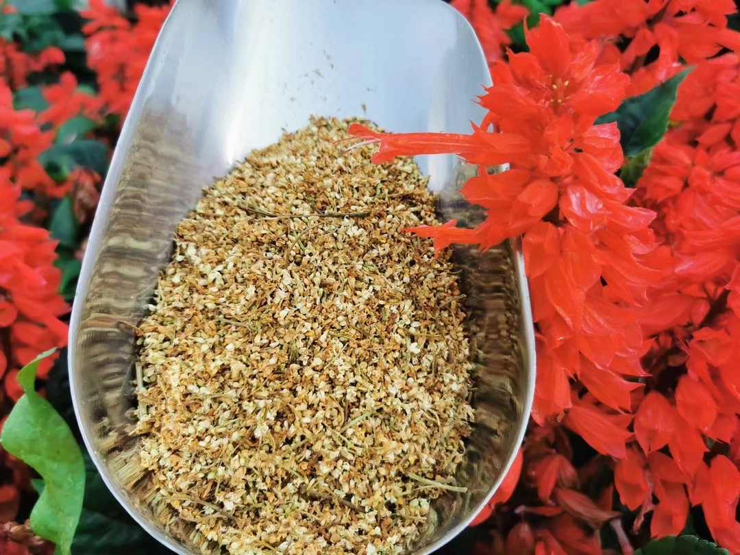 东北大山里，暴马子花250g，初级农产品
