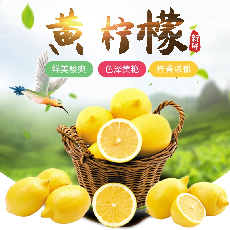 [5斤大果]新鲜采摘优质柠檬多汁果园采摘果香浓郁,产地直发不打蜡