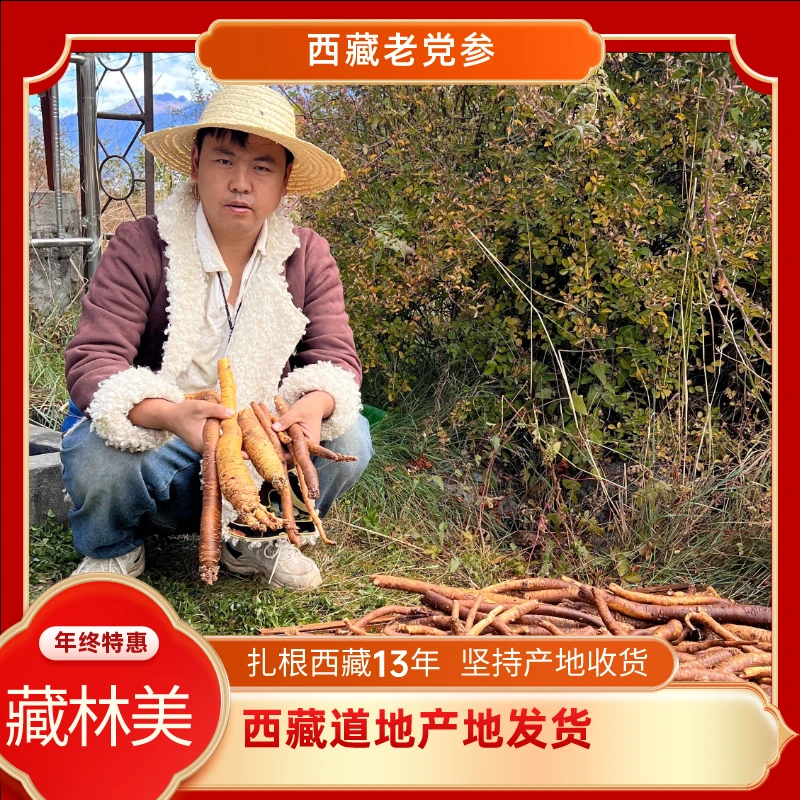 西藏高海拔藏党参