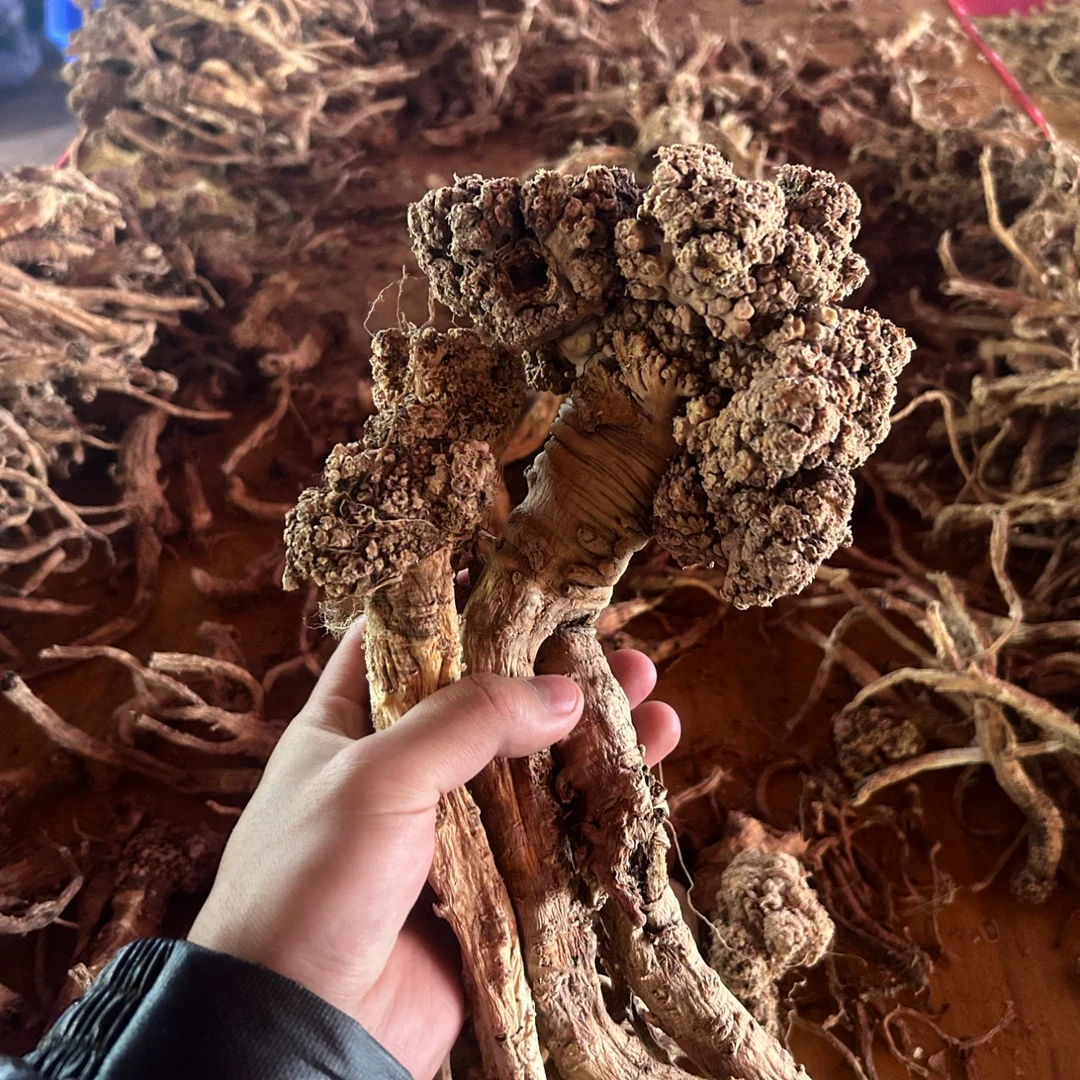 西藏高原高海拔党参（自然风干）