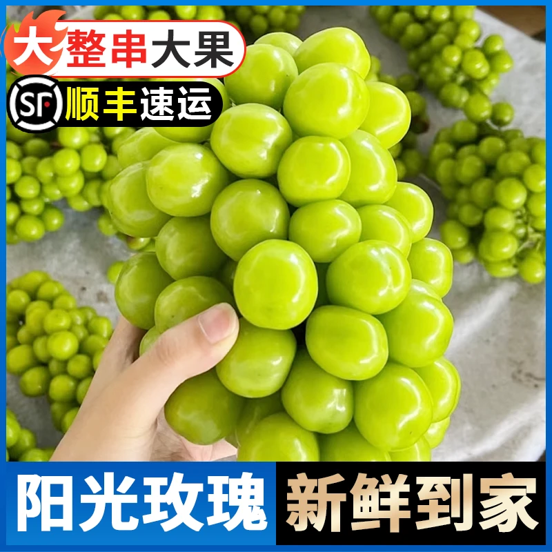 【4J果】5斤装SS尝鲜口感脆甜晴王阳光玫瑰多汁葡萄提子